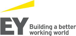 ERNST & YOUNG ADVISORY LYON