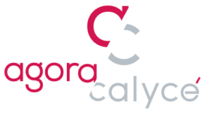 Agora Calycé - Informatique industrielle