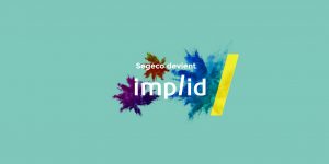 IMPLID Consulting (ex SEGECO Consulting) - 06 Consulting