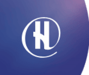 HOGO BUSINESS SERVICES -