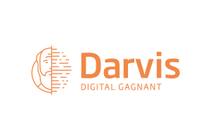 DARVIS - 06 Consulting